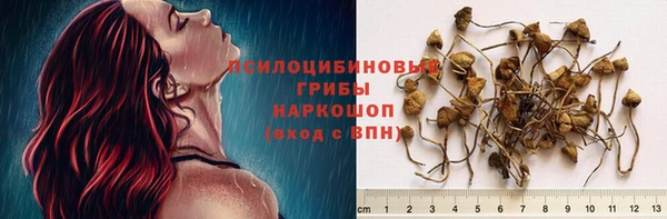 ПСИЛОЦИБИНОВЫЕ ГРИБЫ Алексин